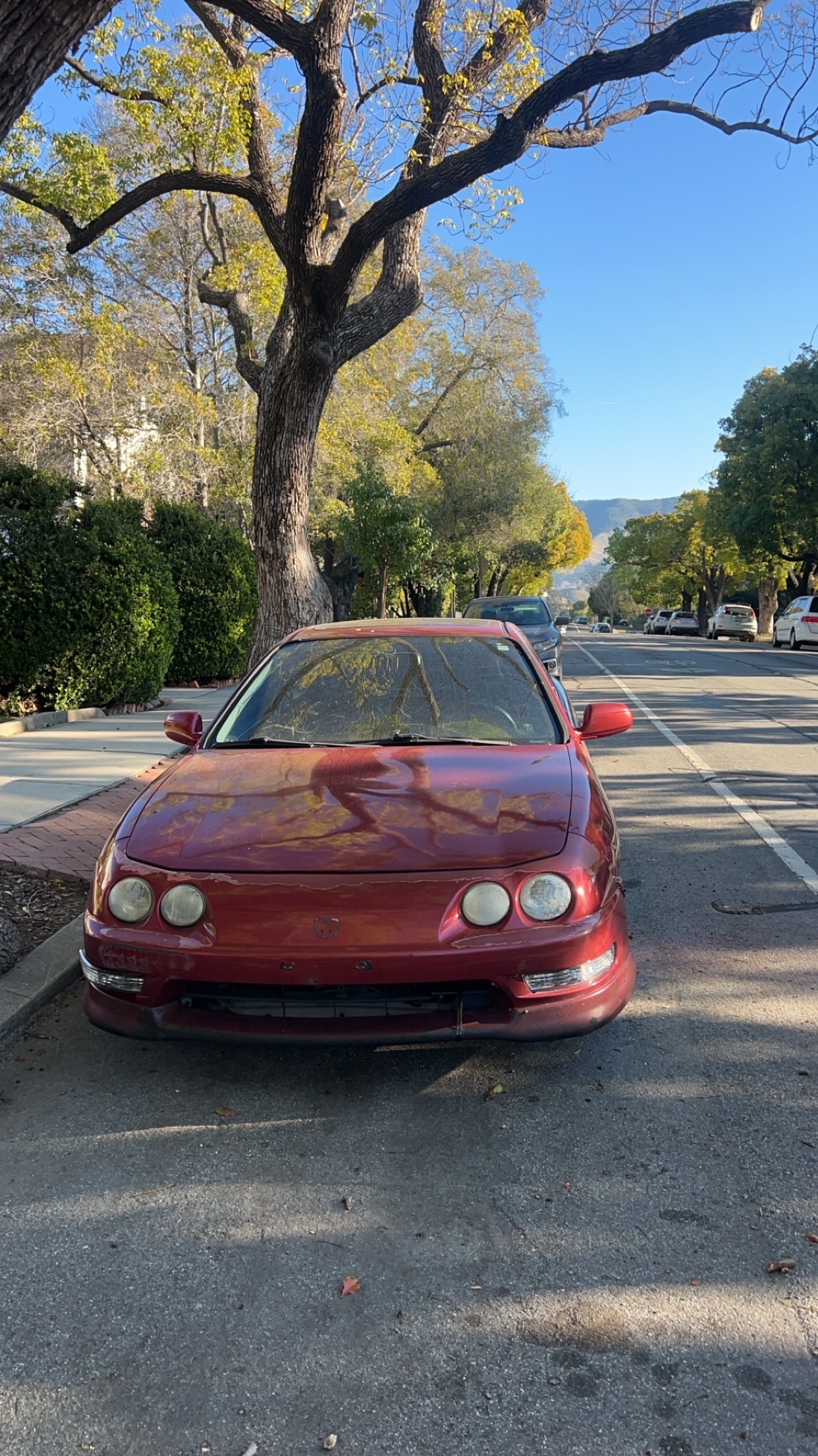 Integra badge and turn signal update